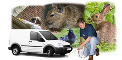 West Bridgford local van